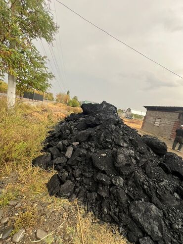 бак на иж: Бесплатная доставка, Оптом, Фракция: Орех (О), В тоннах