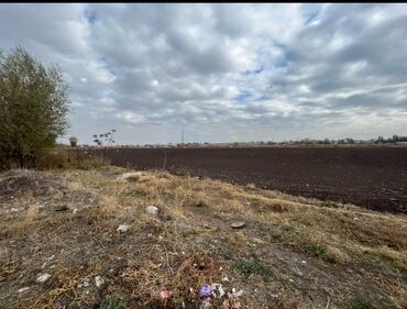 прадайте орашайми земля: 15 соток