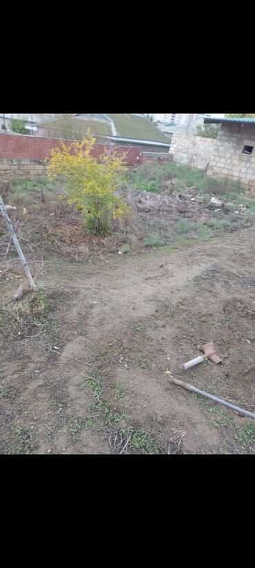 Həyət evləri və villaların satışı: Satılır təçili isdəyən yazsın yöləndirim -da lalafo.az — 8 Həyət evləri və villaların satışı: Satılır təçili isdəyən yazsın yöləndirim — 8