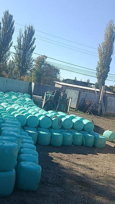 термо бокс: Услуга по упаковке силоса с выездом с бункером — 4