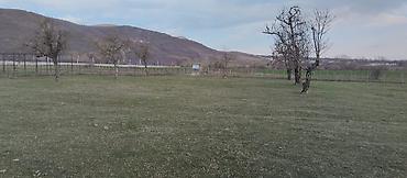 Torpaq sahələrinin satışı: Kənd təsərrüfatı — 8