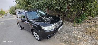 bud e9: Subaru Forester: 2009 г., 2 л, Автомат, Бензин, Кроссовер — 2