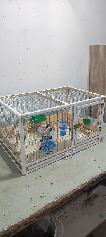 heyvan satilir: Dovşan,cücə,pişik,hamster,quş ve s kimi ev heyvanlari üçün qəfəsler — 2