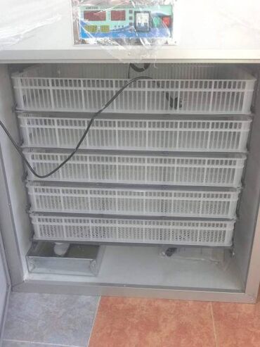 İnkubatorlar: Bütün növ quşlaq üçün, Fabrik istehsalı, Tam avtomat -da lalafo.az — 4 İnkubatorlar: Bütün növ quşlaq üçün, Fabrik istehsalı, Tam avtomat — 4