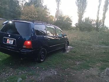 одиссей битый: Honda Odyssey: 1994 г., 2.2 л, Автомат, Газ, Минивэн — 4