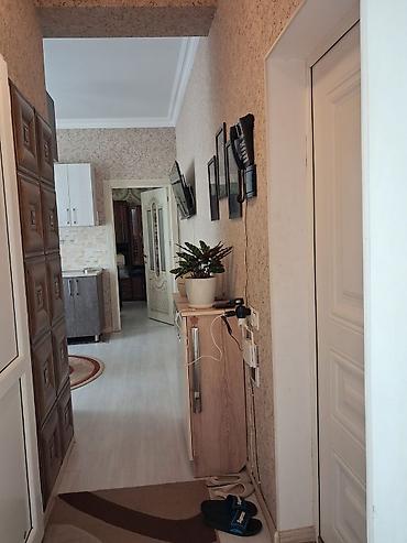 1 комната аренда: 2 комнаты, 42 м² — 4