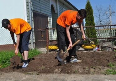 овд 2: Уборка 🧹 🪓 Садов огородовдачДворов (копать сеить пилить