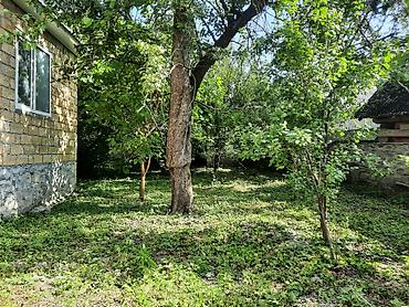 mingecevirde tecili satilan evler: 3 otaqlı, 110 kv. m, Kredit yoxdur, Yeni təmirli — 4
