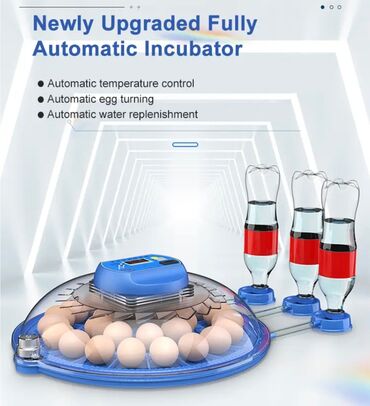 Oprema za kućne ljubimce: INKUBATOR Automatski nove generacije za 26 jaja 12v/220v — 13