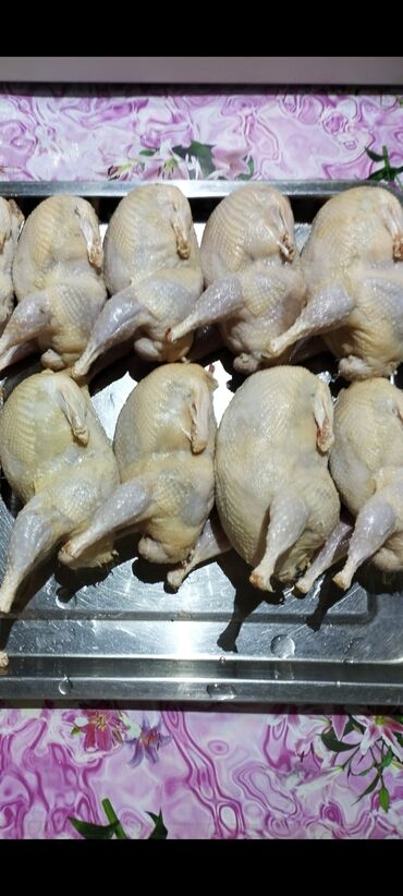 мясо индоутки: Продаю мясо перепелов 🐣