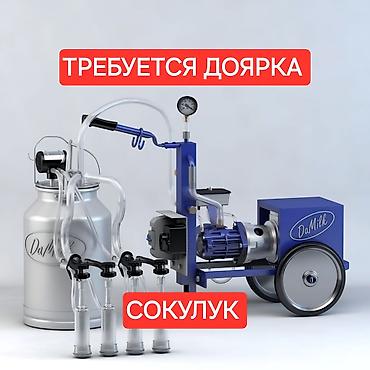 работа отк на производстве: Вакансия: доярка (опытная) Место: г. Сокулук, с. Чат-Куль Описание — 1