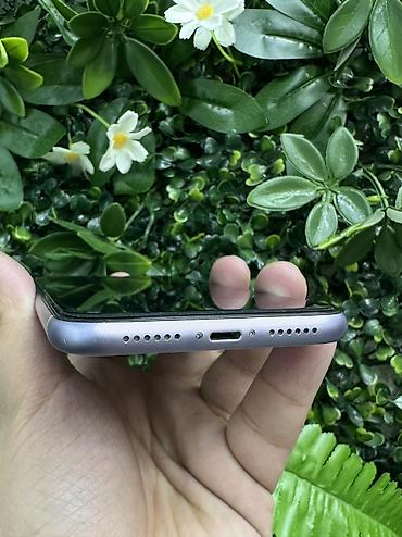 iphone tecili: IPhone 11, 64 GB, Çəhrayı, Face ID — 5