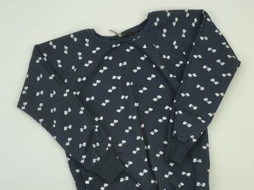 Sweatshirts: Sweatshirt, Zara, L (EU 40), condition - Very good