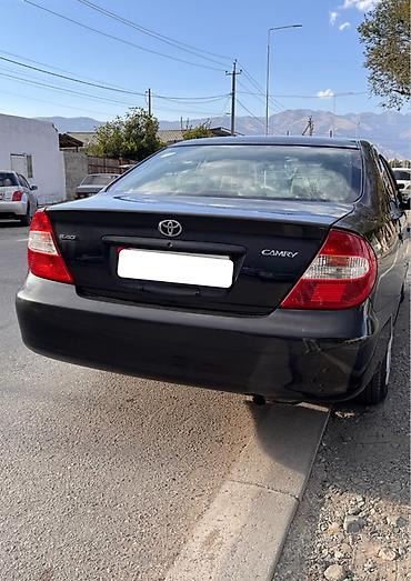 lexus sedan: Toyota Camry: 2003 г., 2.4 л, Автомат, Бензин, Седан — 3