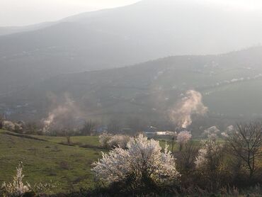 Torpaq sahələrinin satışı: 77 sot, Biznes üçün, Kupça (Çıxarış)