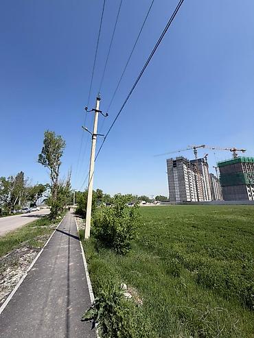 Жер тилкелери: 260 соток, Курулуш, Кызыл китеп — 7