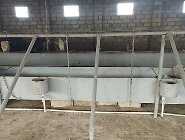 nizami r: 3 otaqlı, 120 kv. m, Kredit yoxdur, Orta təmir — 9