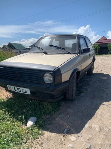 Volkswagen: Volkswagen Golf: 1989 г., 1.6 л, Автомат, Бензин, Хэтчбэк