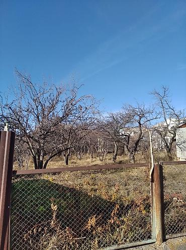 Земельные участки: 5 соток, Для сельского хозяйства, Красная книга, Генеральная доверенность — 2