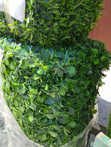 Digər ev dekoru: 🌿 Süni Çəpər – Təbii Gözəlliyin Süni Həlli! 🌿 📏 Eni 1.00 metr olur 📏 — 6