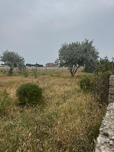 Torpaq sahələrinin satışı: 6 sot, Tikinti, Kupça (Çıxarış) — 7