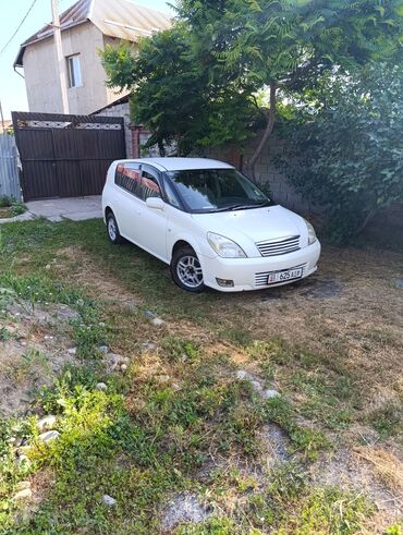 тайота авенсис минивен: Toyota Opa: 2004 г., 1.8 л, Автомат, Бензин, Универсал