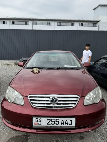 стрим авто: BYD : 2007 г., 1.6 л, Механика, Бензин, Седан