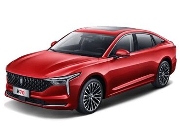 Yağ filterləri: FAW Hongqi 2019 il, Orijinal, Almaniya — 12