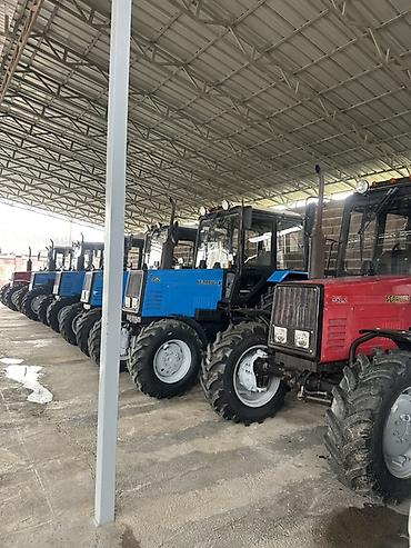 Тракторы МТЗ (Беларус): Трактор «Беларус» Мтз 952 892 все вопросы по тел есть разные варианты at lalafo.kg — 2 Тракторы МТЗ (Беларус): Трактор «Беларус» Мтз 952 892 все вопросы по тел есть разные варианты — 2