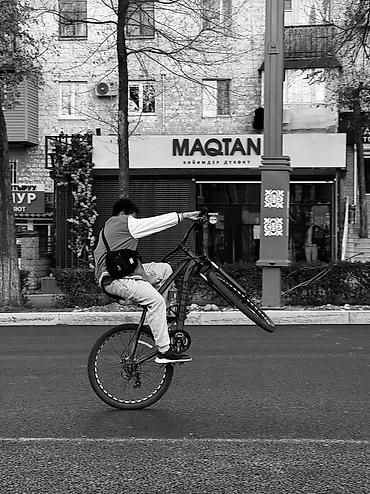 Горные велосипеды: Горный велосипед GELEDA (хардтейл) - Рама: алюминиевая, размер — 12