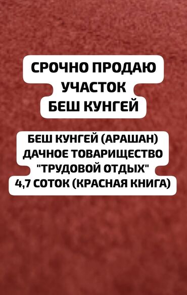 токмок ак бешим: Дача, 23 м², 2 комнаты, Собственник, Старый ремонт