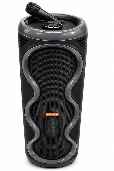 karaoke ses sistemi: MS-2077BT-W 80CM Bluetooth karaoke speaker Bütün kateqoriyalar • — 1