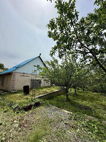 Продажа дач: 🏡🔥 ПРОДАЁТСЯ ДАЧА В ТАШ-МОЙНОКЕ! ДТ: «Мичуринец» 🌿 💥 Участок — 6 — 5