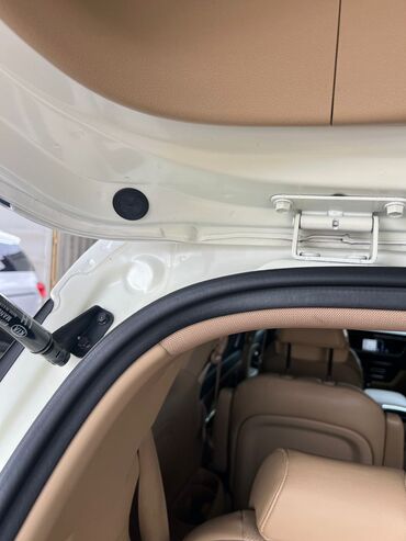 Kia: Kia Carnival: 2019 г., 2.2 л, Автомат, Дизель, Минивэн — 23