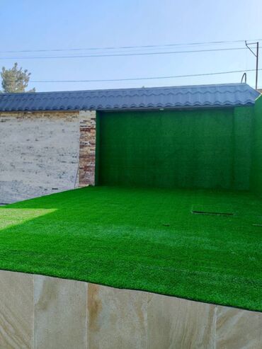 Kovrolin: Kvadrat metri 6 AZN-dən başlayır Suvarmaya ehtiyac yoxdur. Heç bir