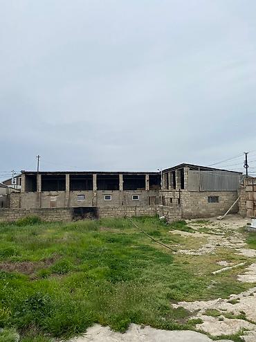ramana sovxoz: 13 sot, Biznes üçün, Mülkiyyətçi, Bələdiyyə — 6