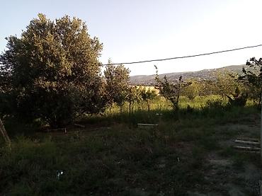 20 yanvar evler: 1 otaqlı, 20 kv. m — 5