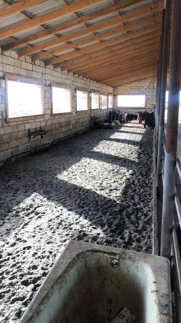 Kommersiya daşınmaz əmlakının satışı: 150 HEKTAR ƏRAZİ satılır İMİŞLİDƏ 110 HEKTAR Mülkiyyət Əkin — 15