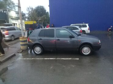 Volkswagen: Volkswagen Golf: 1993 г., 1.6 л, Механика, Бензин, Минивэн