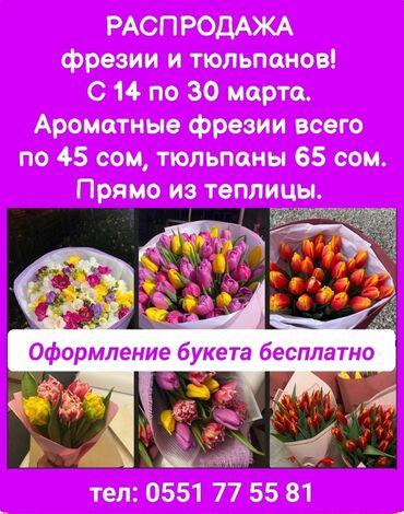 съедобные букеты бишкек: Распродажа фрезии и тюльпанов! С 14 по 30 марта. Ароматные фрезии