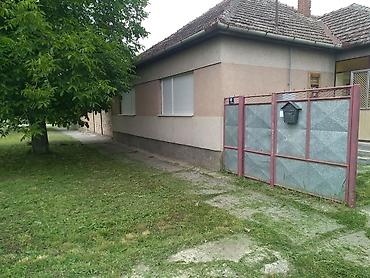prodaja kuca vrbas: Renovirana kuća 120 m2 na 14 ara sa zasadom paulonije - Turija kuća u — 1