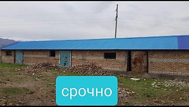 кой сойушка: Срочно срочно! Очень дешево!Продаю две кошары на одной территории — 3
