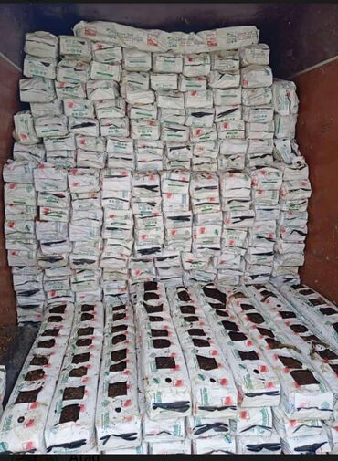 Toxumlar: Torflarin satişi balaken ekolay kkokavit 250litrlik xaricden gelen — 8