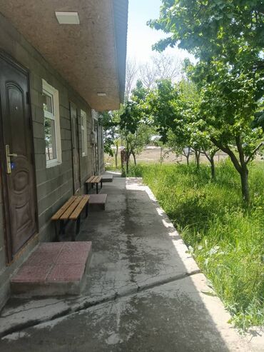 дом на иссык куле купить: Койко-место, КОМНАТЫ Чок-Тал
