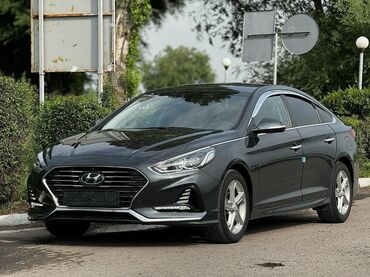 аренда шлифовальной машины для стен: Ижарага берем Hyundai Sonata, Күнүмдүк, Айдоочусуз, | Күрөө, Айдоочулук күбөлүгүк, Башка шарттар
