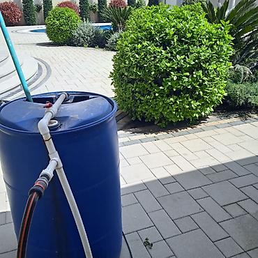 usta temir: Profesional bağban xidməti ağac və kolların əkilməsi budanması formaya — 9