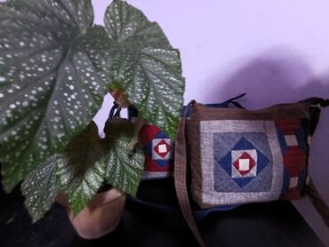 Шопперы: Шопперы — 7