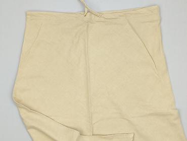 blue skirts: Terranova, Spódnica damska, rozmiar 2XL — 1