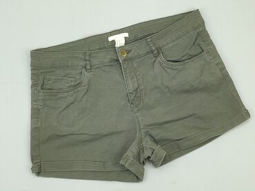 Shorts: Shorts, H&M, L (EU 40), condition - Good