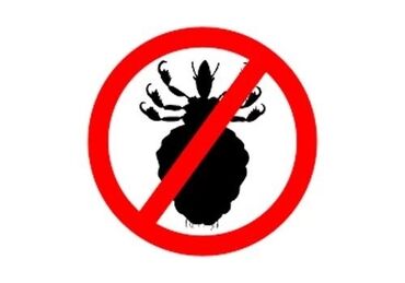 служба дезинфекции кыргызстана уничтожение клопов блох тараканов 100 эффект бишкек: Дезинфекция, дезинсекция | Клопы, Блохи, Тараканы | Транспорт, Офисы, Квартиры